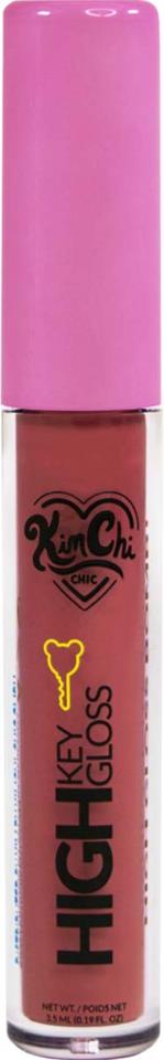 Kimchi Chic High Key Gloss Full Coverage Lipgloss Summer Plum
