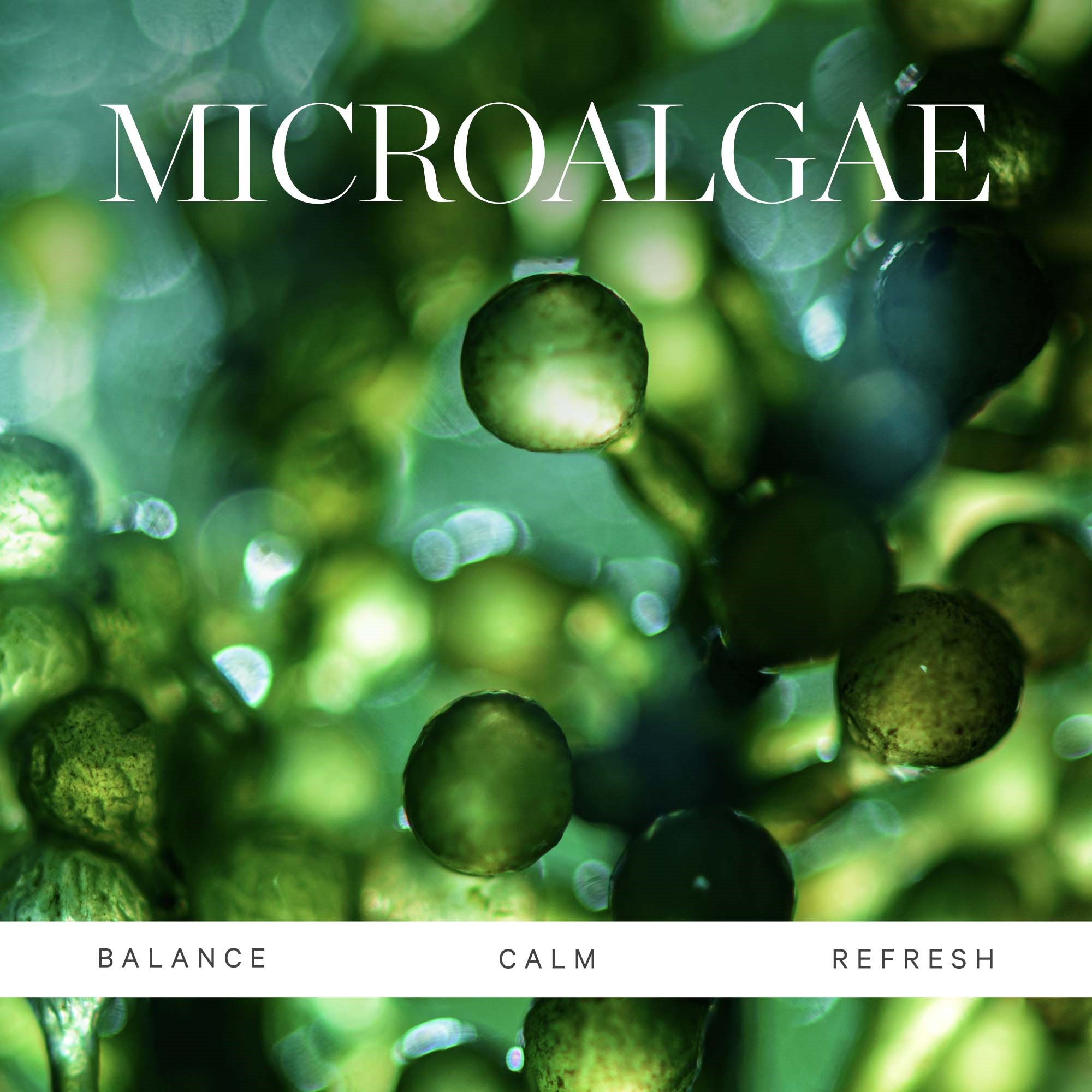 KORA Organics Organics Active Algae Lightweight Moisturizer Refill Pod (obrázok 5)