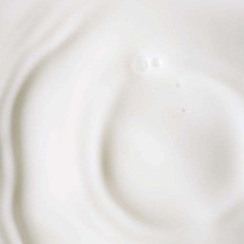 A close-up of white liquid showing smooth, creamy texture with small bubbles. No other objects visible.