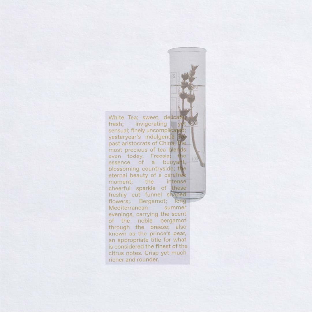 Korres White Tea Eau de Toilette 50 ml (obrázok 4)