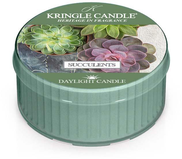 Kringle Candle Daylight KC Succulents