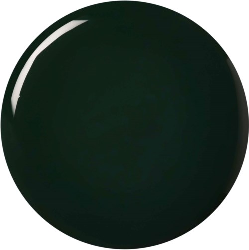 A dark green round object with a shiny surface and a white highlight reflection.