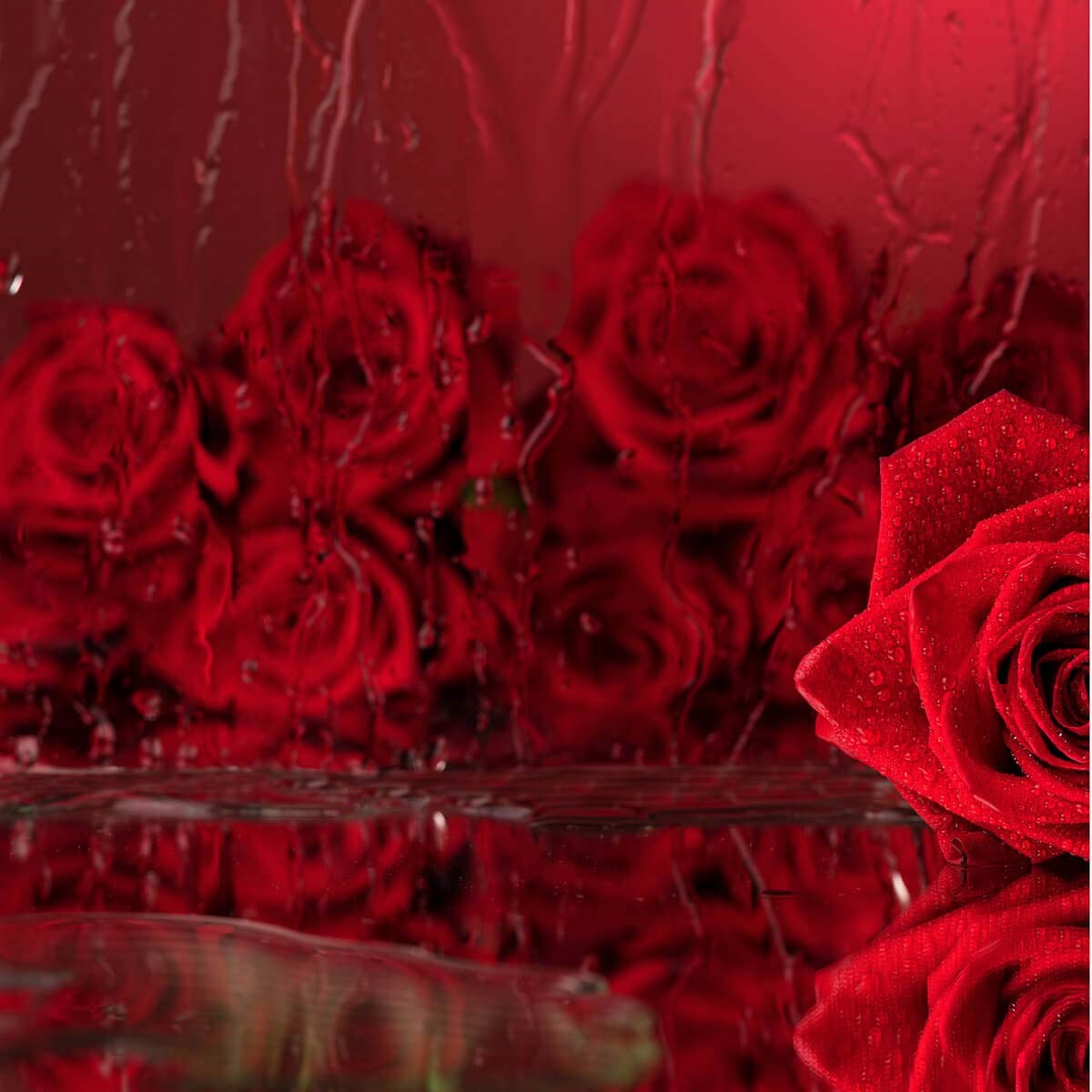 L'Atelier Parfum Opus 2 Dose of Rose Eau de Parfum 15 ml (obrázok 3)