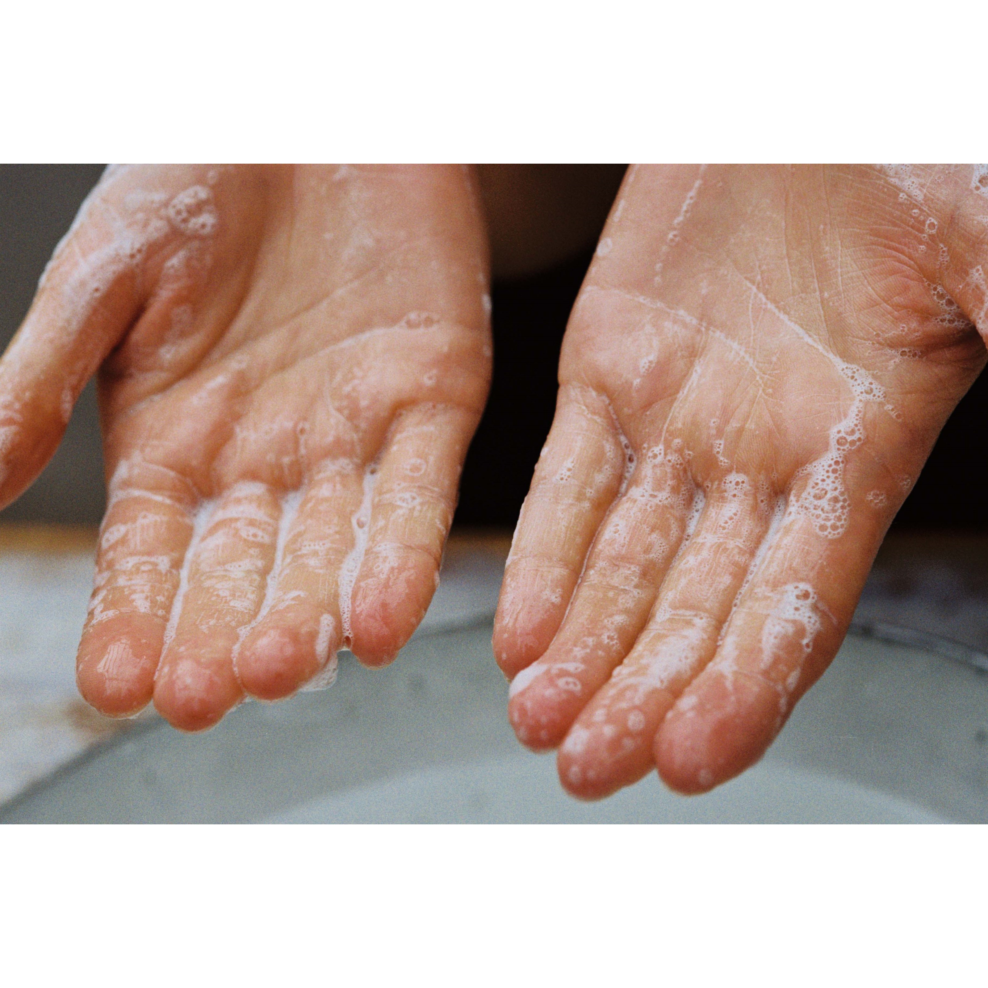 L:a Bruket 242 Hand & Body Wash Elder CosN 240 ml (obrázok 4)