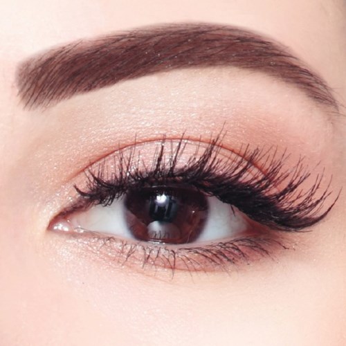 Detaljbild av ett välformat öga med långa fransar och välformad ögonbryn, subtil makeup och mjukt hudfärg.