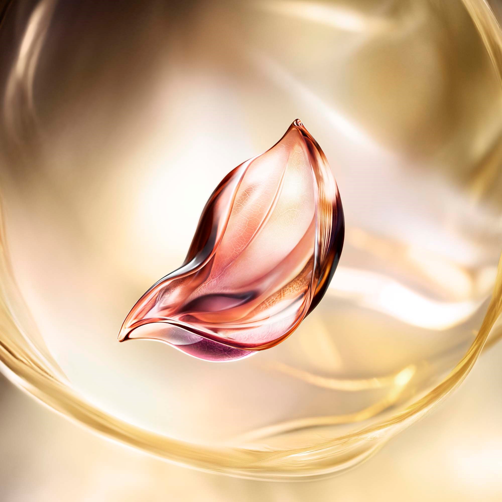 Lancôme Absolue Longevity The Soft Cream (obrázok 5)