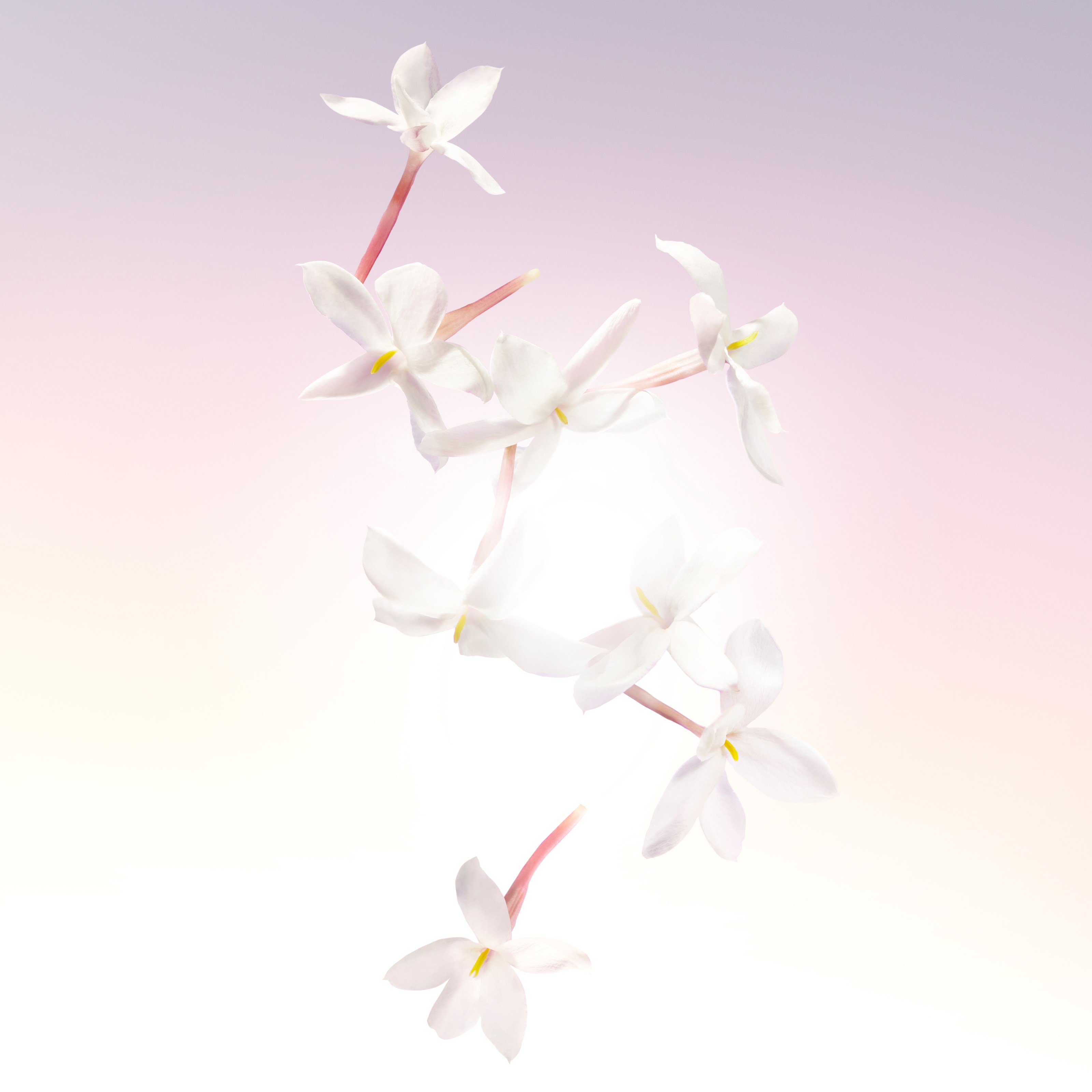 Lancôme Idôle Woda perfumowana 25 ml (obrázok 6)