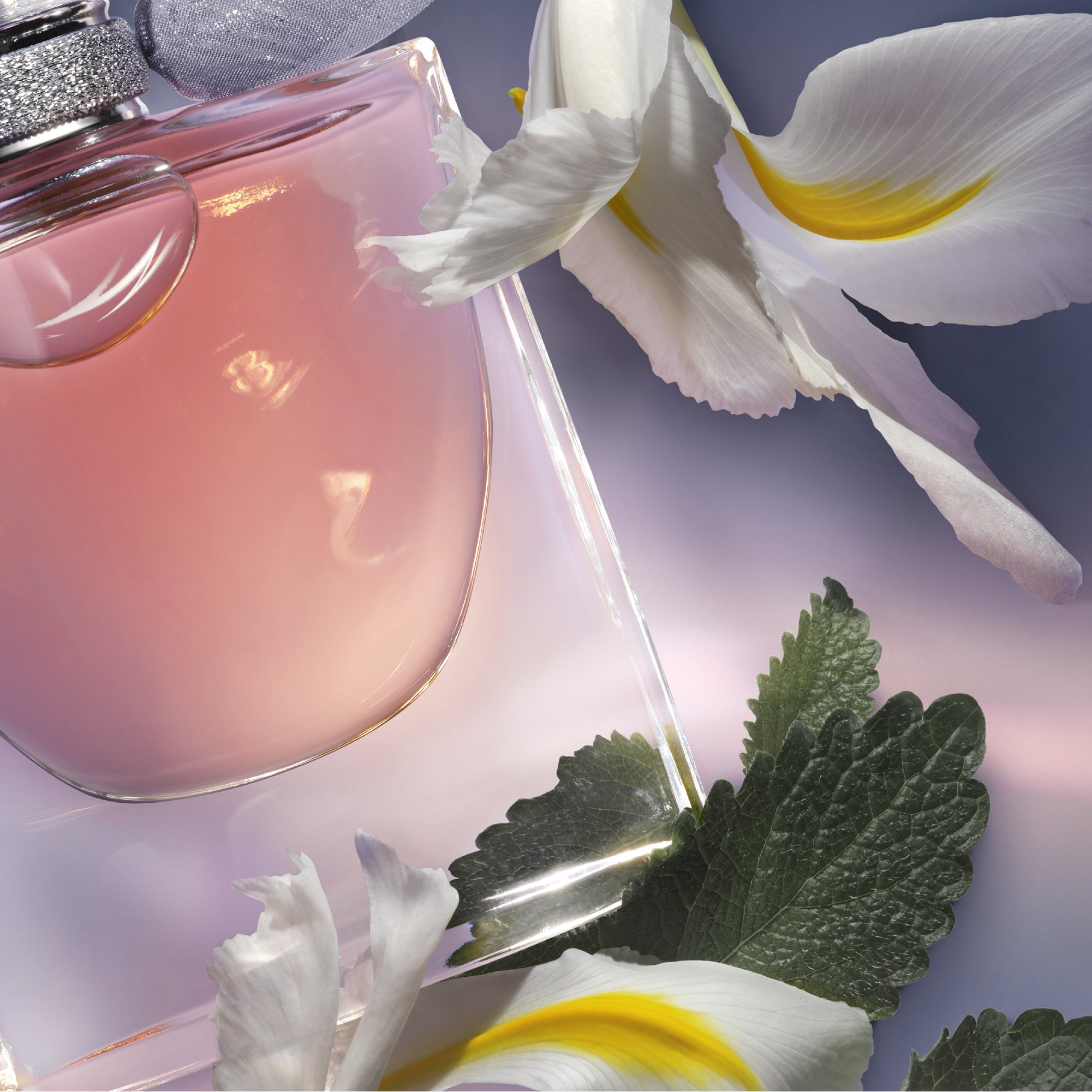 Lancôme La Vie est Belle Woda perfumowana 30 ml (obrázok 9)