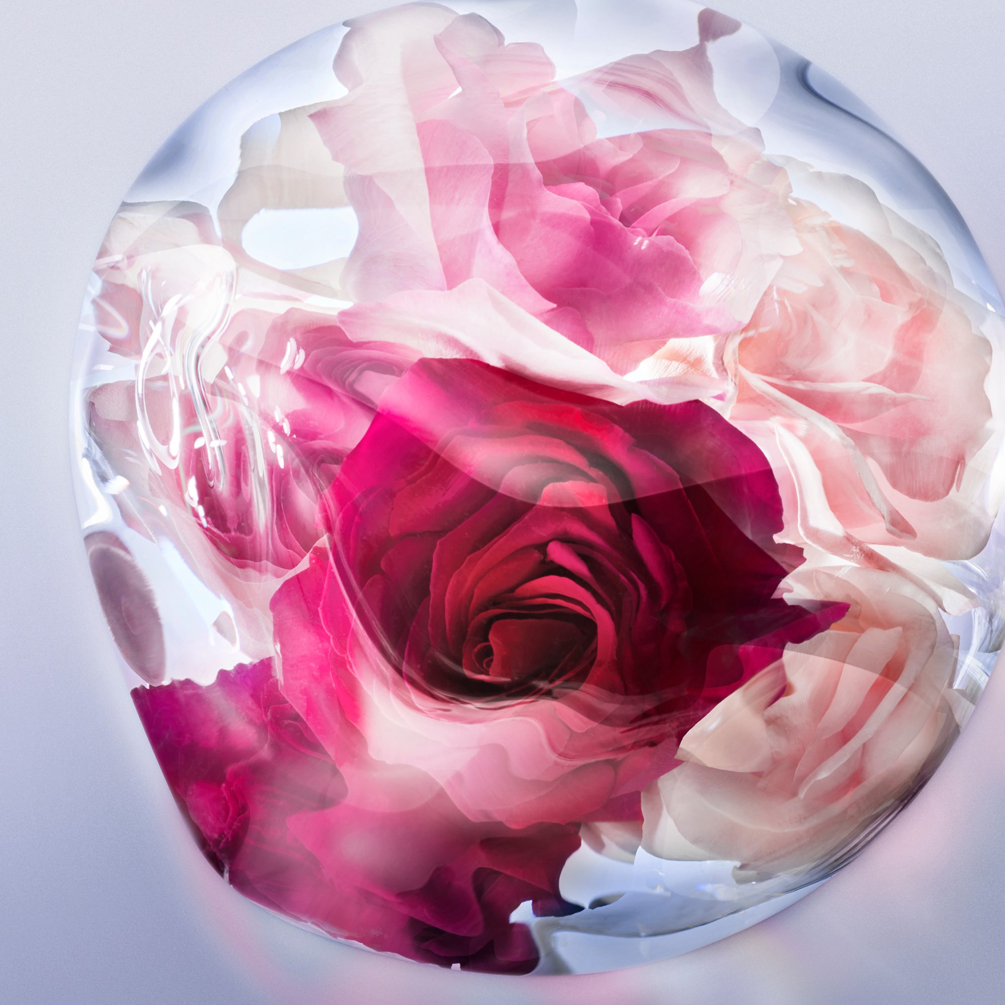 Lancôme La Vie est Belle Rose Extraordinaire Eau de Parfum 50 ml (obrázok 5)