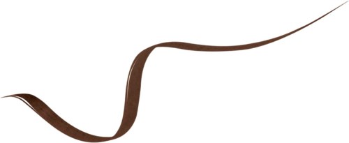 A long brown ribbon curves on a white background with black top and bottom borders.