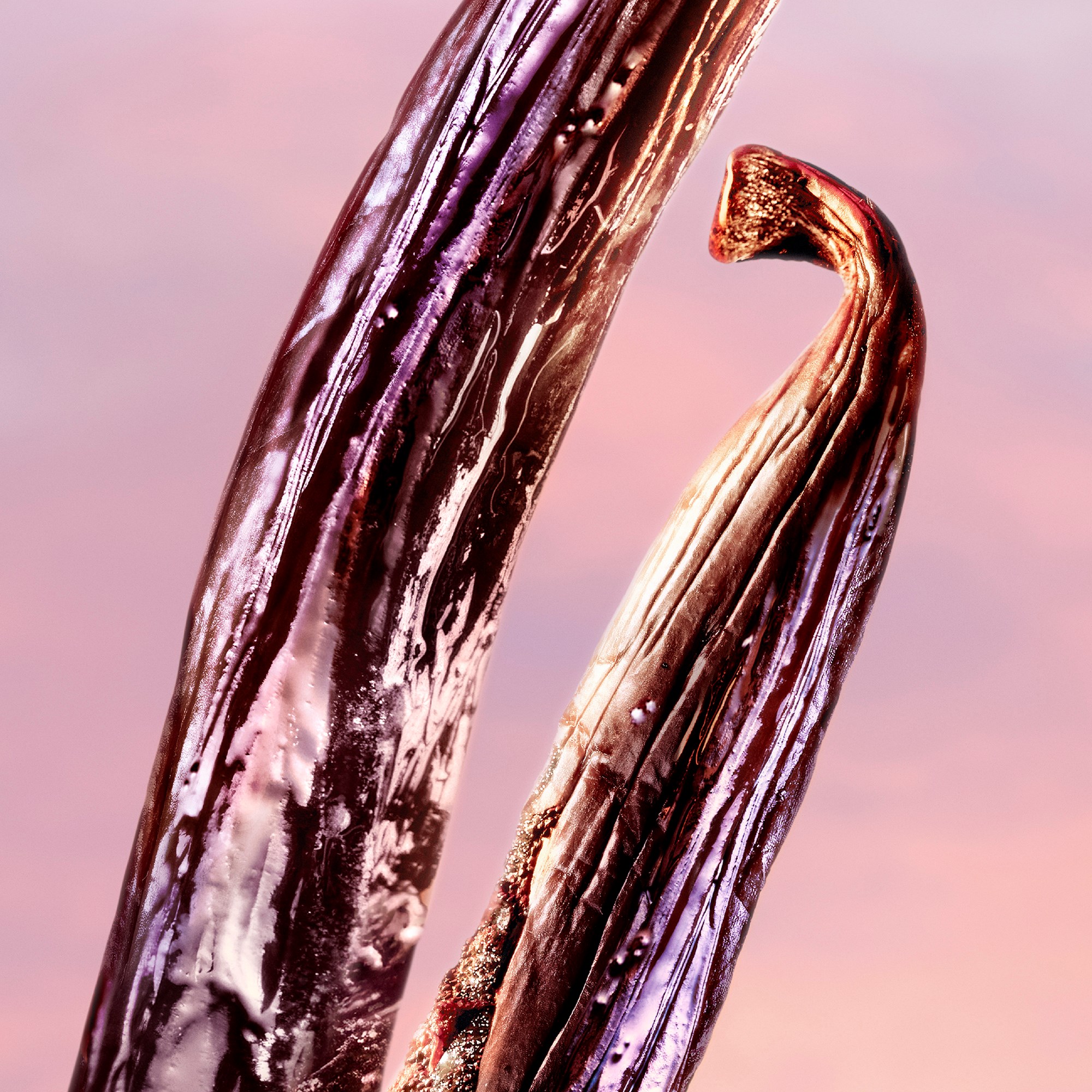 Lancôme La Vie est Belle Vanille Nude Eau de Parfum 50 ml (obrázok 4)