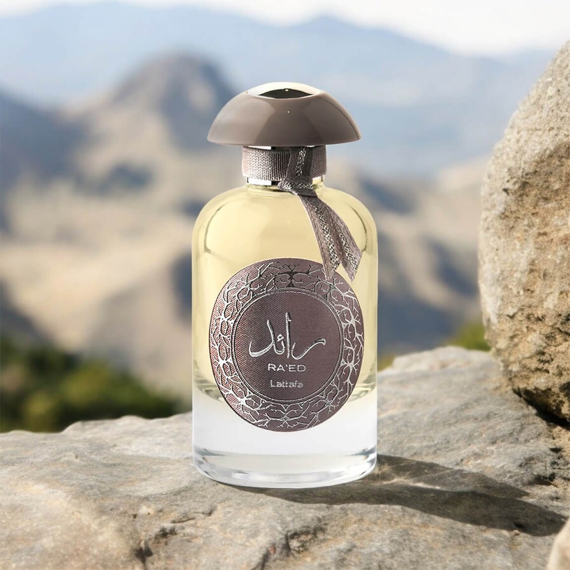 Lattafa Raed Silver Eau de Parfum 100 ml (obrázok 4)