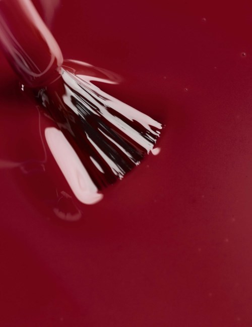 A paintbrush with black and white bristles painting red surface.