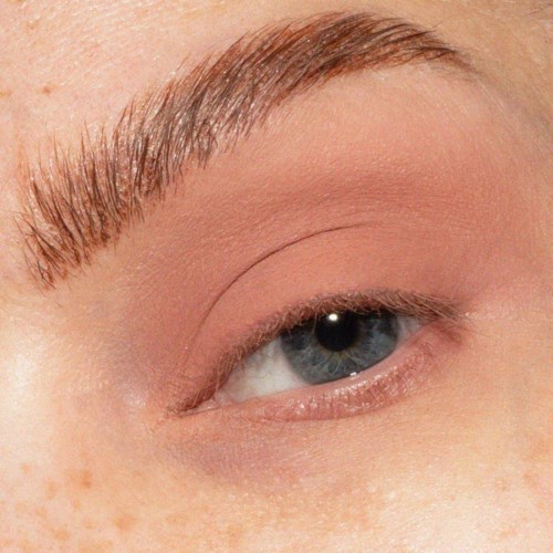 Тени для век LH Cosmetics The Single Matte Eyeshadow матовые, оттенок Thirst Trap — фото 3