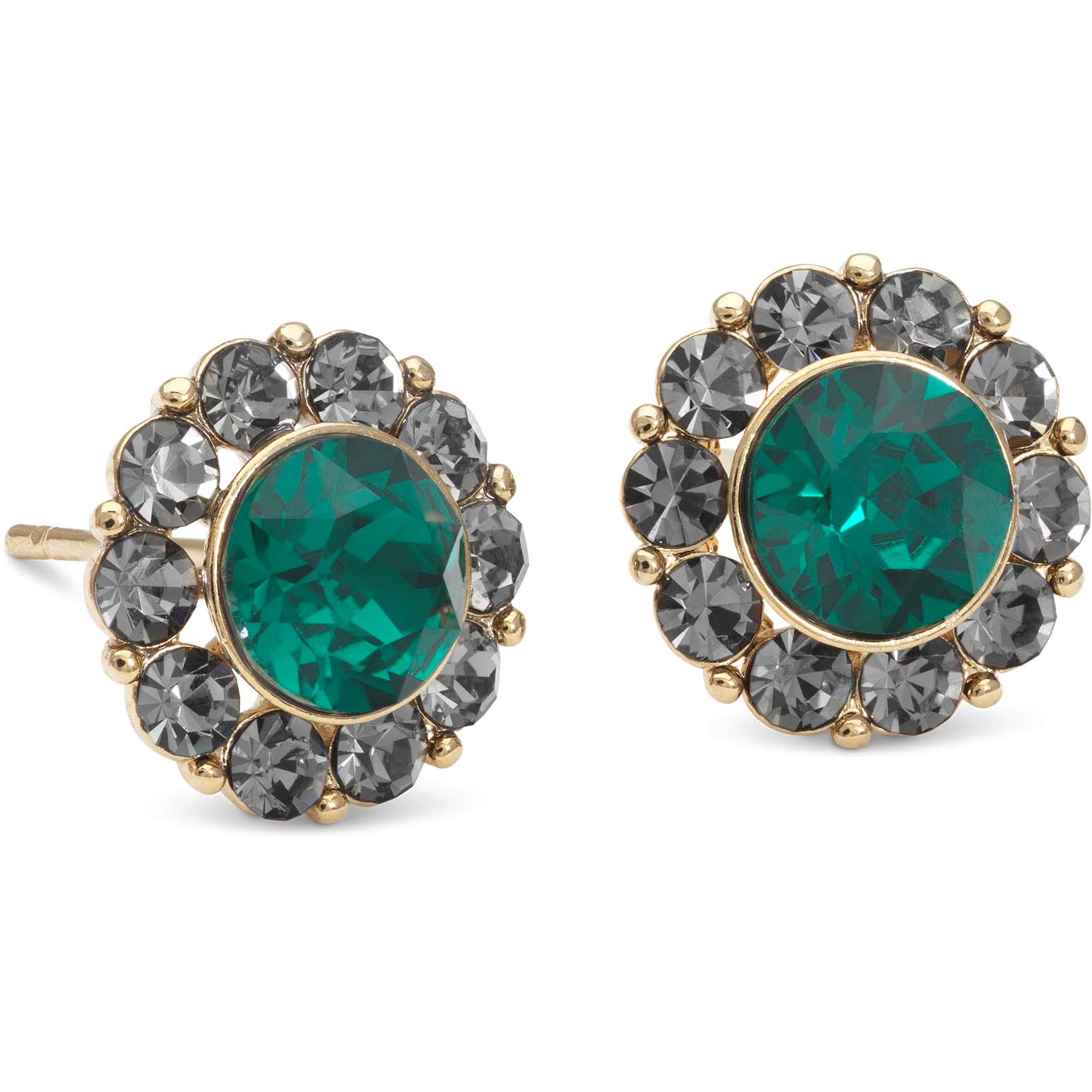 Läs mer om Lily and Rose Miss Sofia earrings Emerald / Black diamond