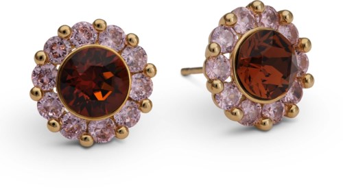 Gouden oorbellen met grote rode stenen in het midden en kleinere roze stenen eromheen.