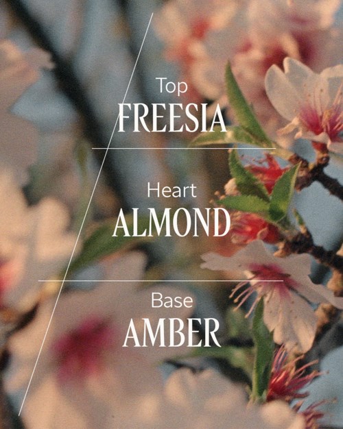 En diagram som viser deler av en blomst: toppen er Freesia, hjertet er Mandel, bunnen er Amber, med rosa blomster i bakgrunnen.