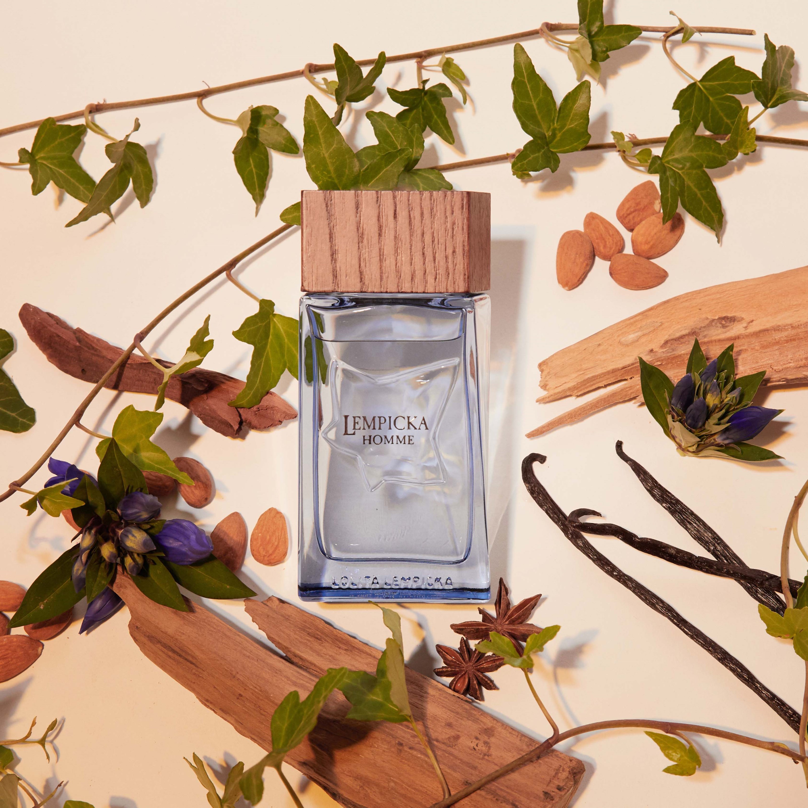 Alternativ bild 1 för Lolita Lempicka Homme Eau de Toilette 50 ml