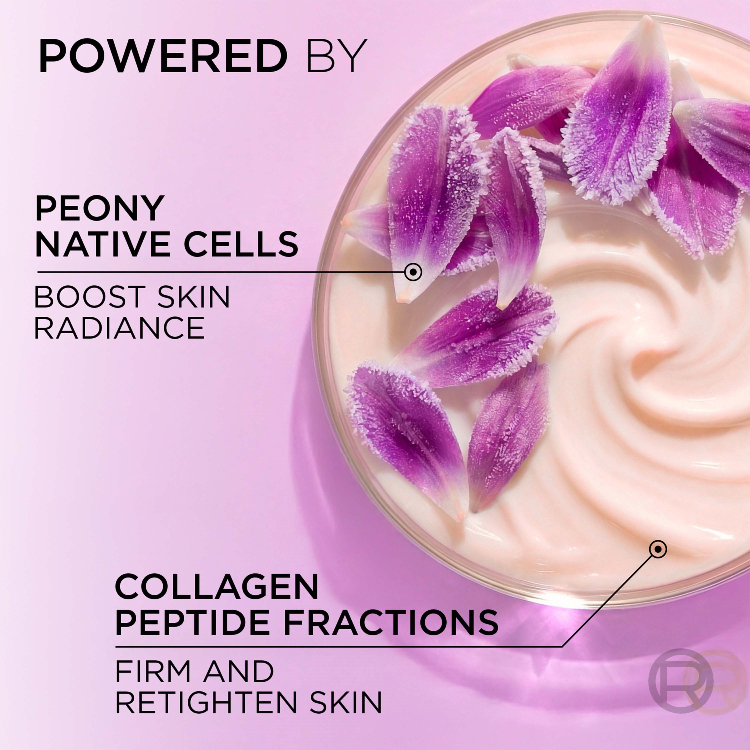 L'Oréal Paris Krem na noc 50 ml (obrázok 6)