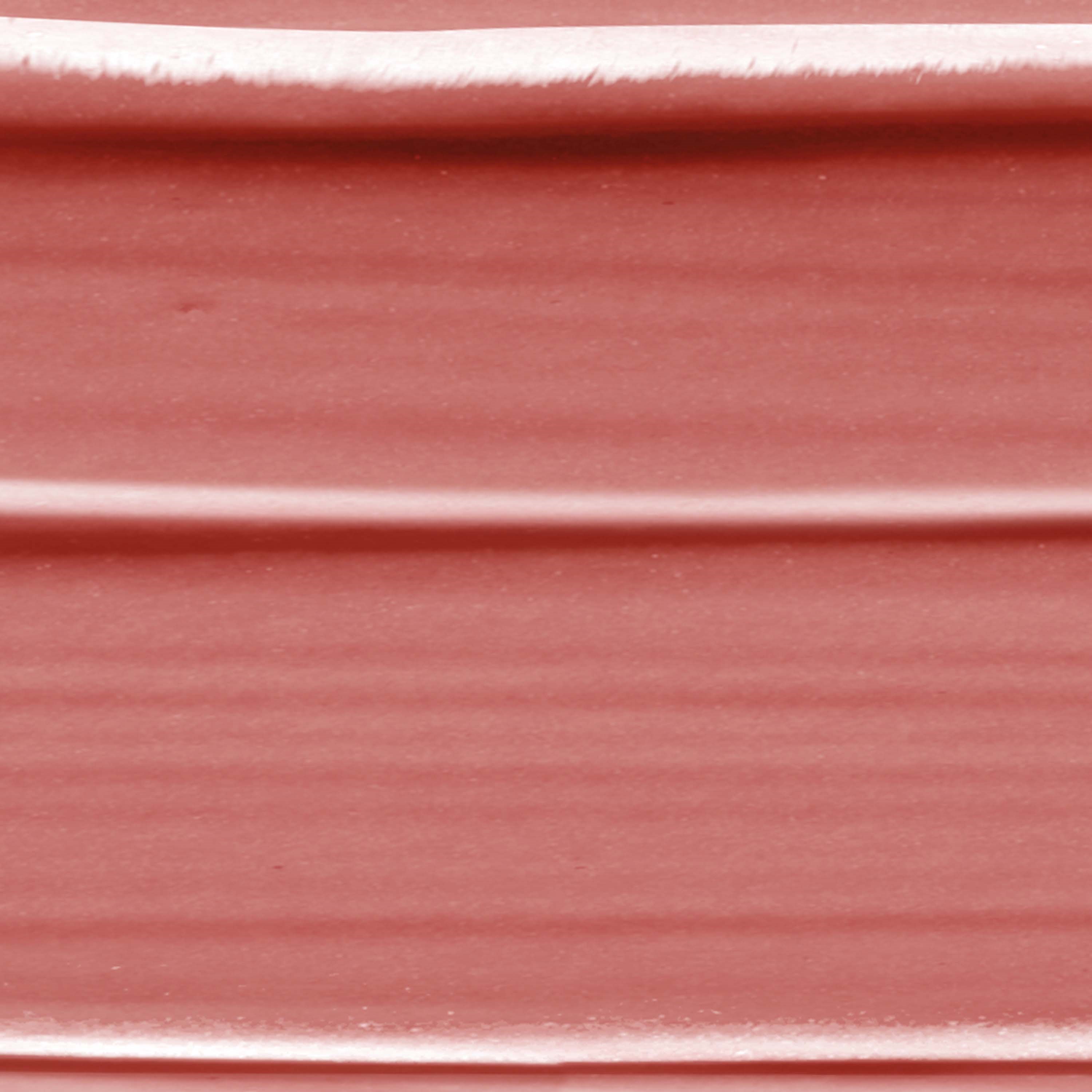 L'Oréal Paris Color Riche Satin Nude Intense Impertinent 173 (obrázok 3)