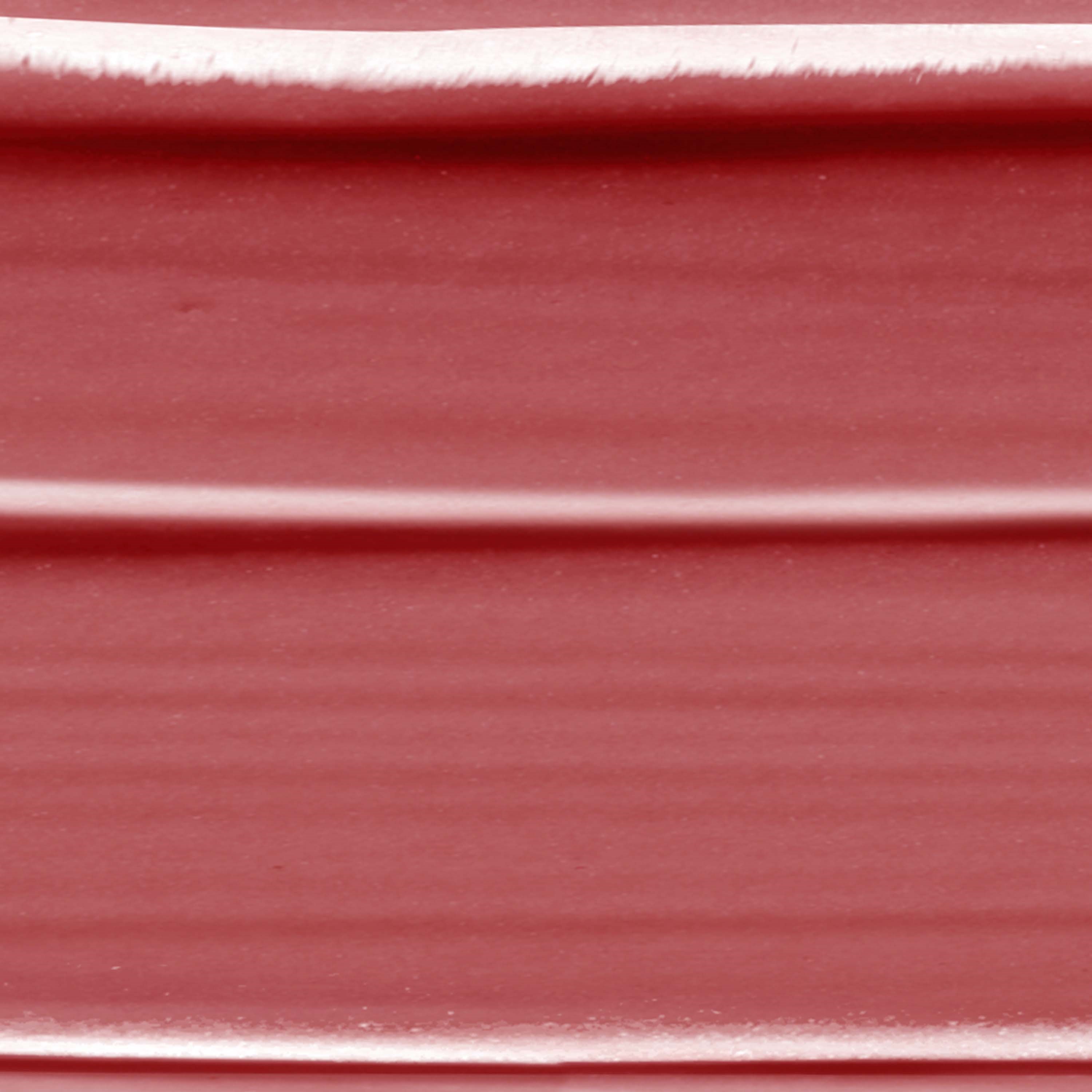 L'Oréal Paris Color Riche Satin Nudes Pomadka do ust Authentique (obrázok 3)