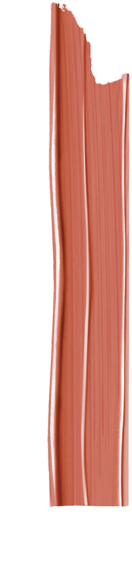 Loreal Paris Color Riche Satin Nudes Determine