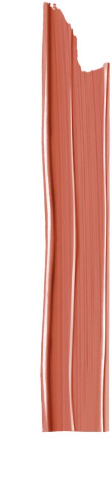 L'Oréal Paris Color Riche Satin Nudes Determine 4,5g