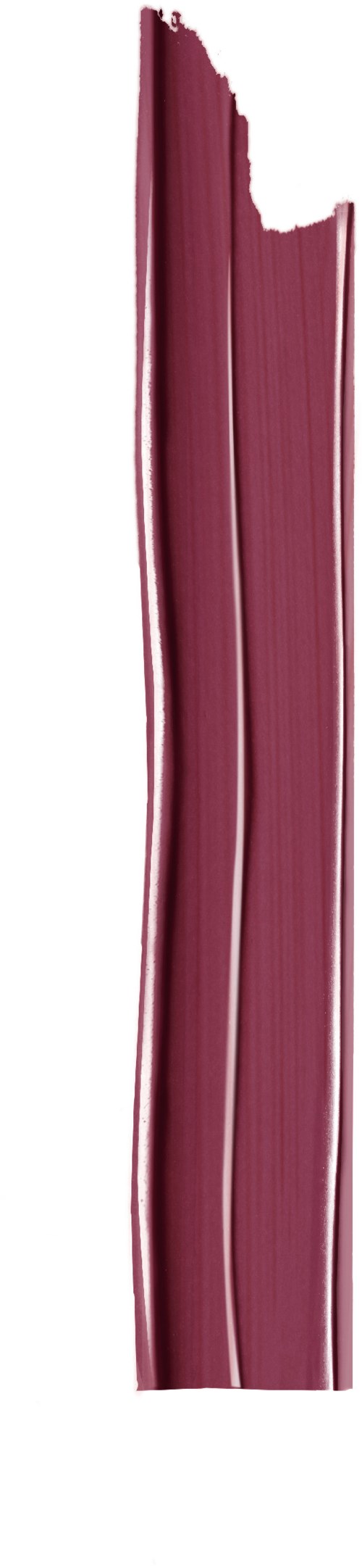 Loreal Paris Color Riche Satin Nudes Exuberant