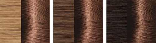 Four hair colors range from blond to black, with different shades of brown in between.