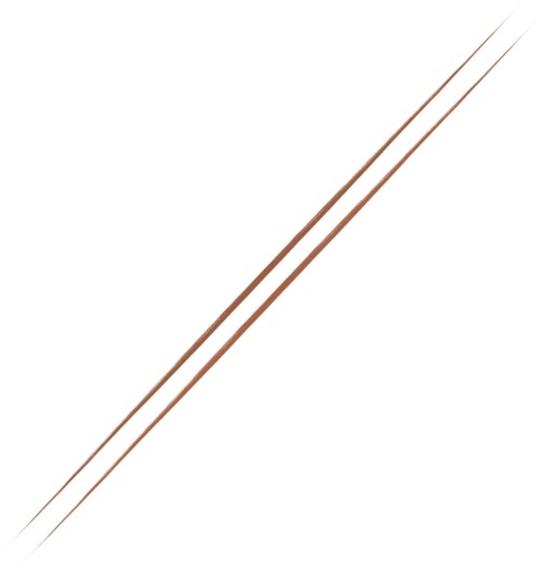 Two pairs of parallel brown lines with slight curvature, converging towards the top right corner.
