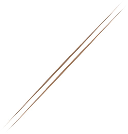 A pair of wooden chopsticks with pointed tips and some shadows, angled diagonally on a white background.