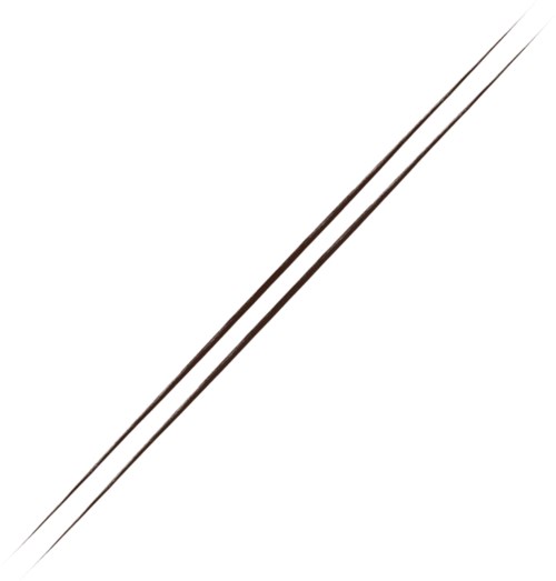Two thin, dark chopsticks crossing diagonally on a white background.