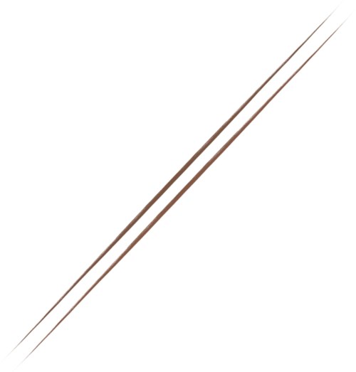 Two thin, parallel brown lines running diagonally across a white background.