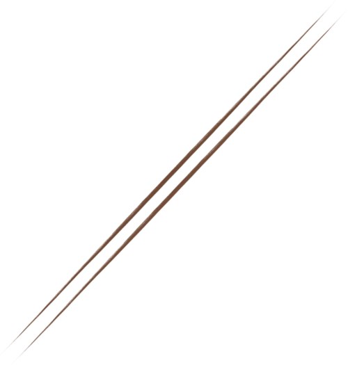 Two long, thin wooden sticks crossed diagonally on a white background.