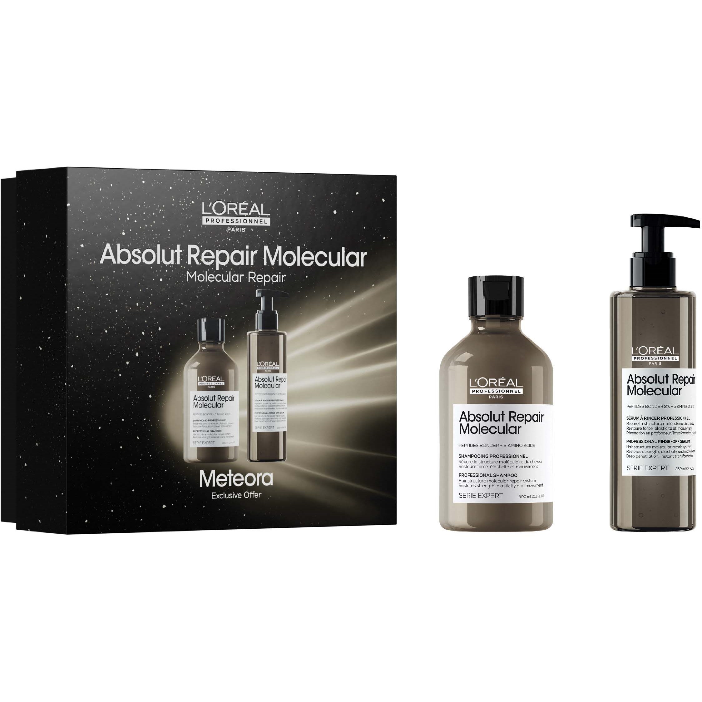 L'Oréal Professionnel Absolut Repair Molecular Duo Gift Set