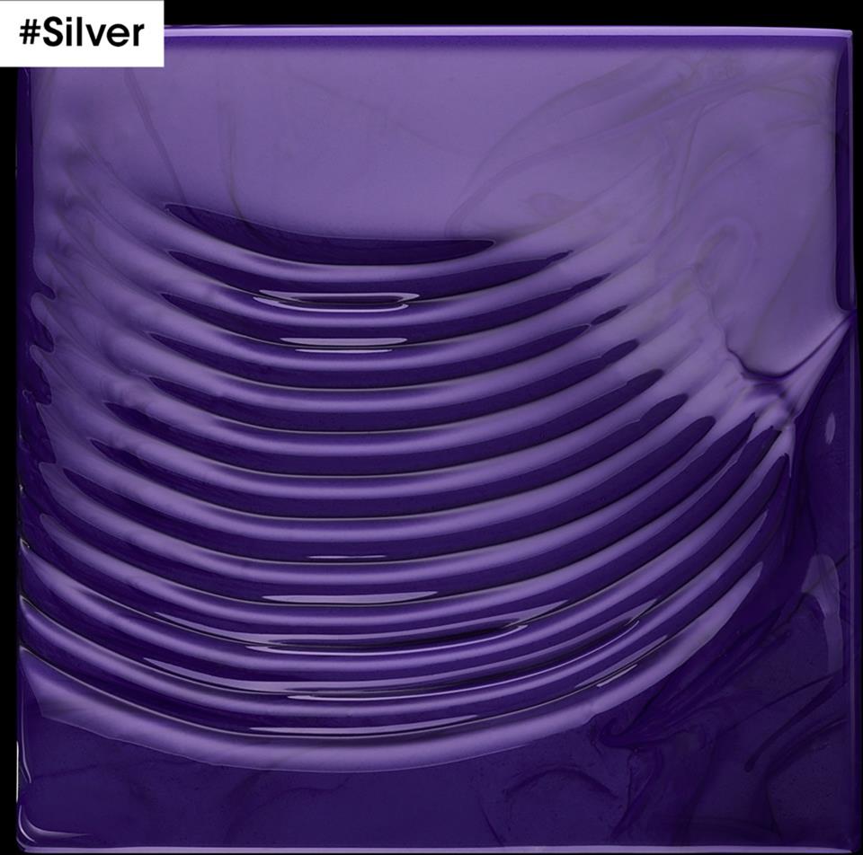 LOréal Professionnel Silver Shampoo 500 ml