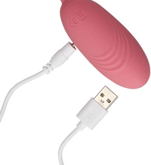 dildo sex toys CalExotics + Calexotics Silicone Remote Rechargeable Egg Vibrator main image 1