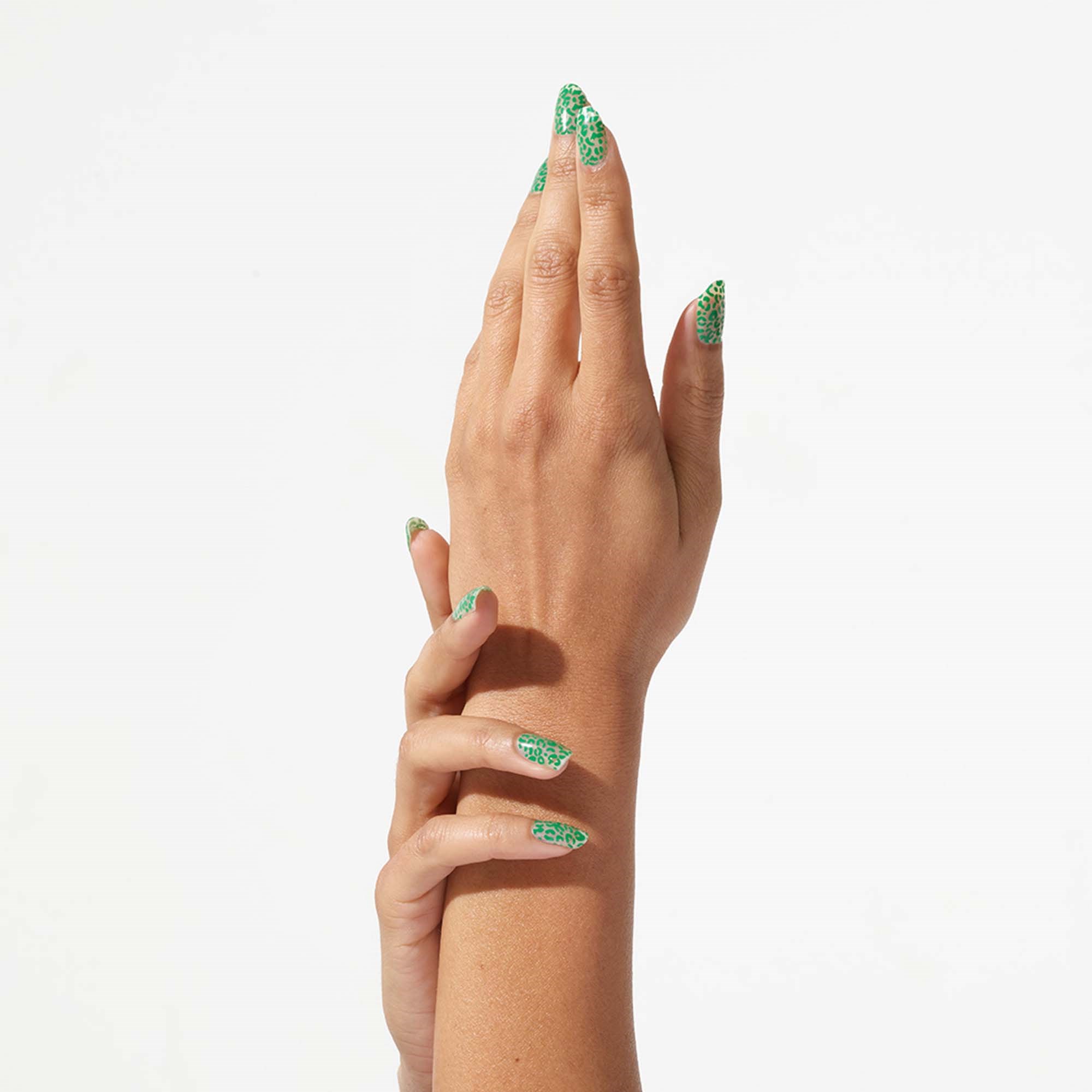 Love'n Layer Leo - hybryda w naklejce B. Green (obrázok 3)