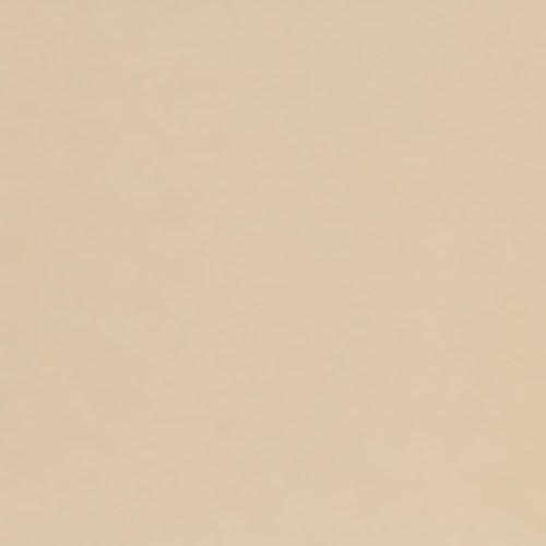 Kuva on yksivärinen, beige tausta ilman muita elementtejä.