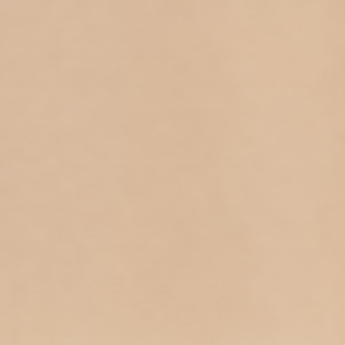 Billedet er en ensfarvet beige baggrund uden objekter eller tekst.