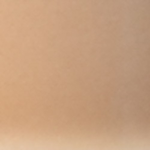 Bildet är brunt och oskarpt utan tydliga föremål eller detaljer.