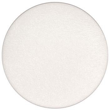 MAC Cosmetics Eye Shadow (Pro Palette Refill Pan) Frost White Frost - 1,3 g
