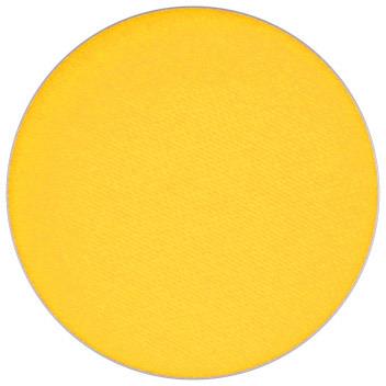 MAC Cosmetics Matte Eye Shadow Pro Palette Refill Chrome Yellow 