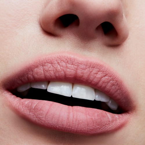 mac powder kiss lipstick reverence