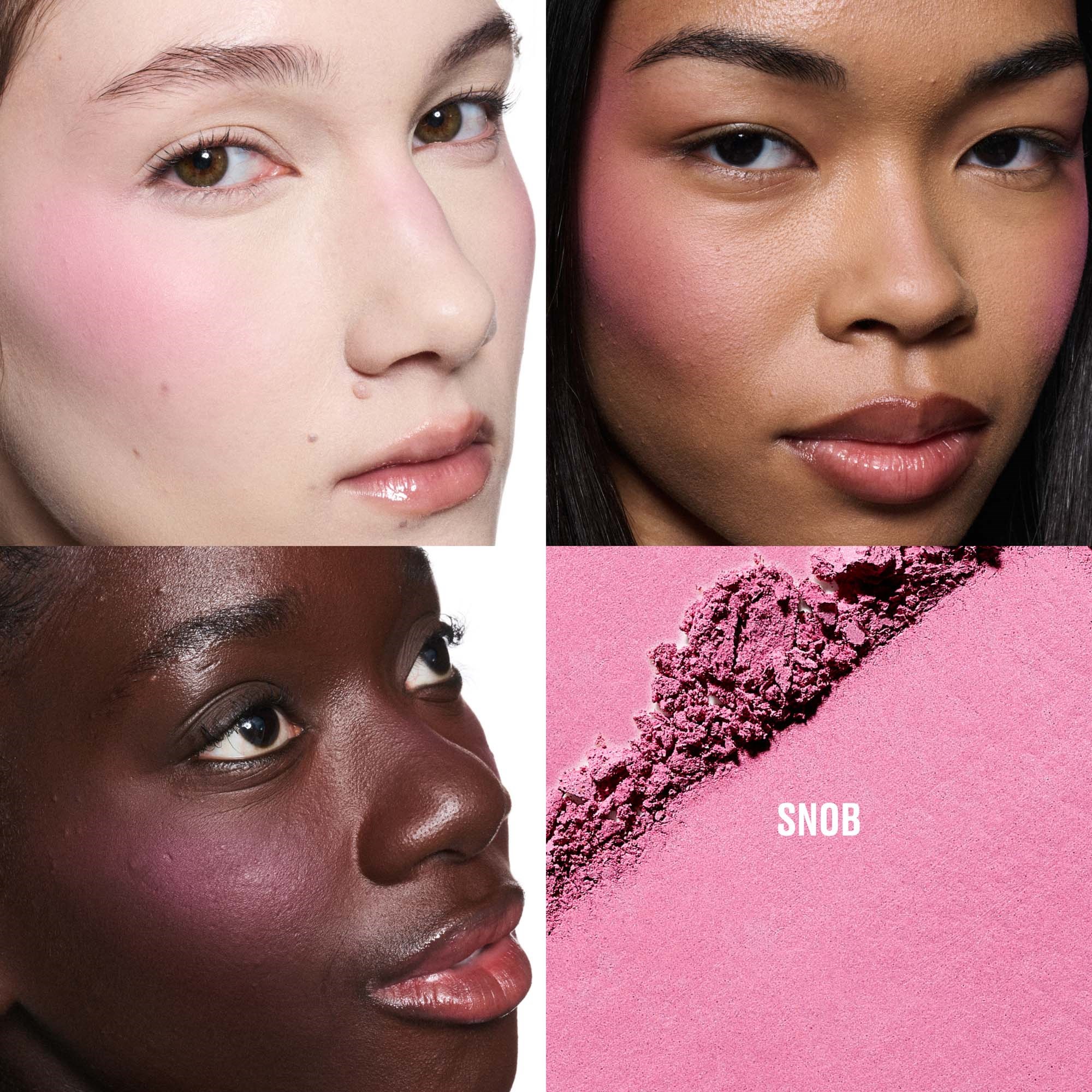 MAC Cosmetics Skinfinish Colourstruck Blush Snob (obrázok 3)