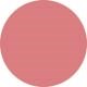 A plain pink circle on a white background with no other elements.