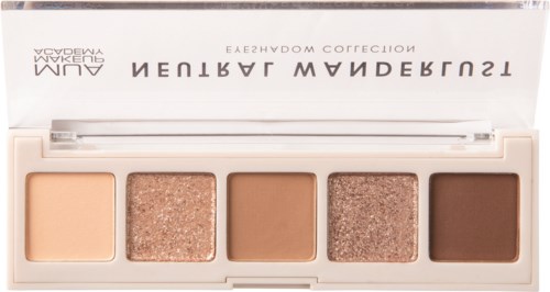 A palette with five shades, from light to darker, including matte and shimmery tones for eyeshadow.