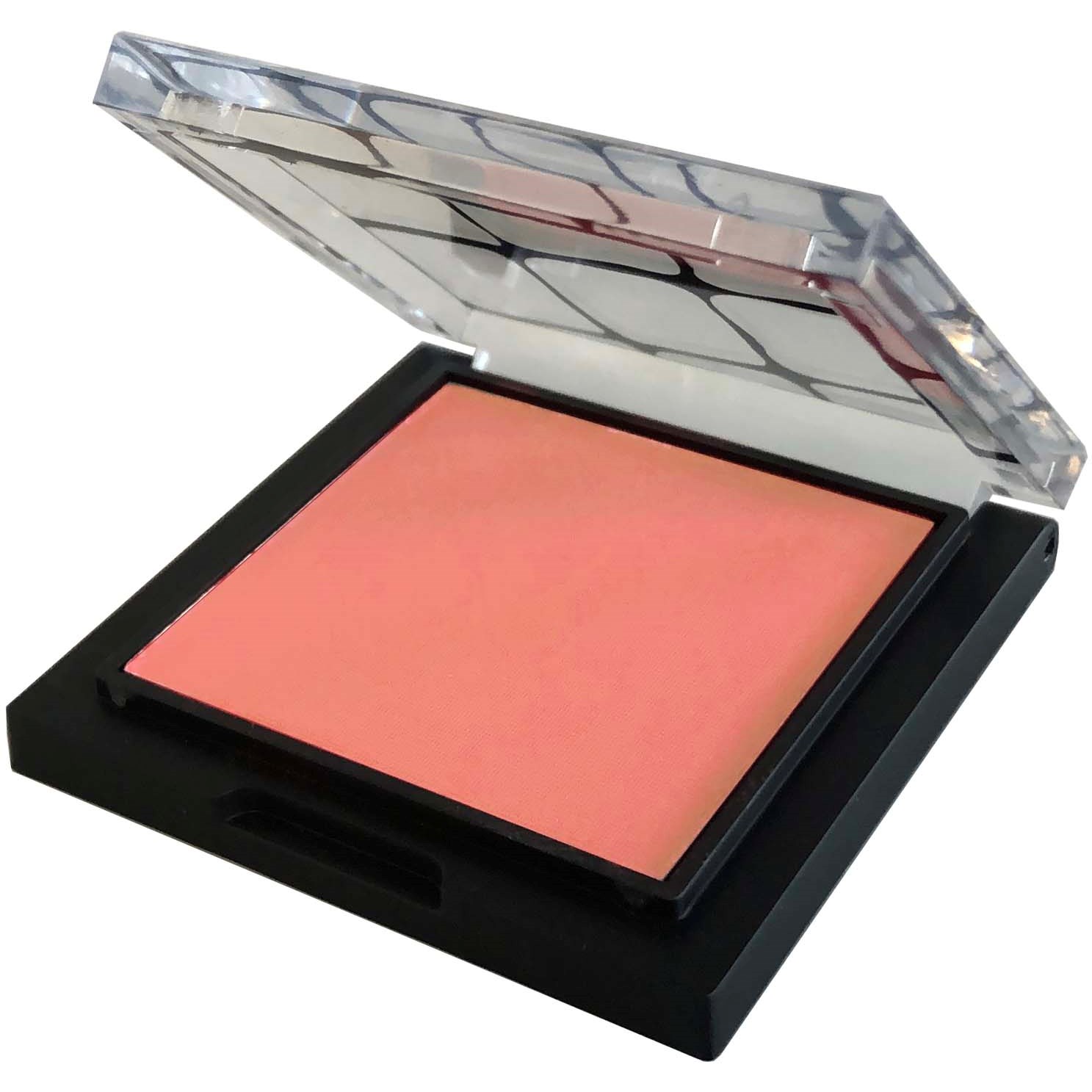 Make Up Store Blush Apricot