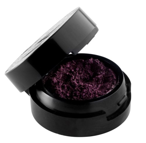Make Up Store Eyedust Perfect