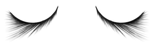 Make Up Store Eyelashes Flash